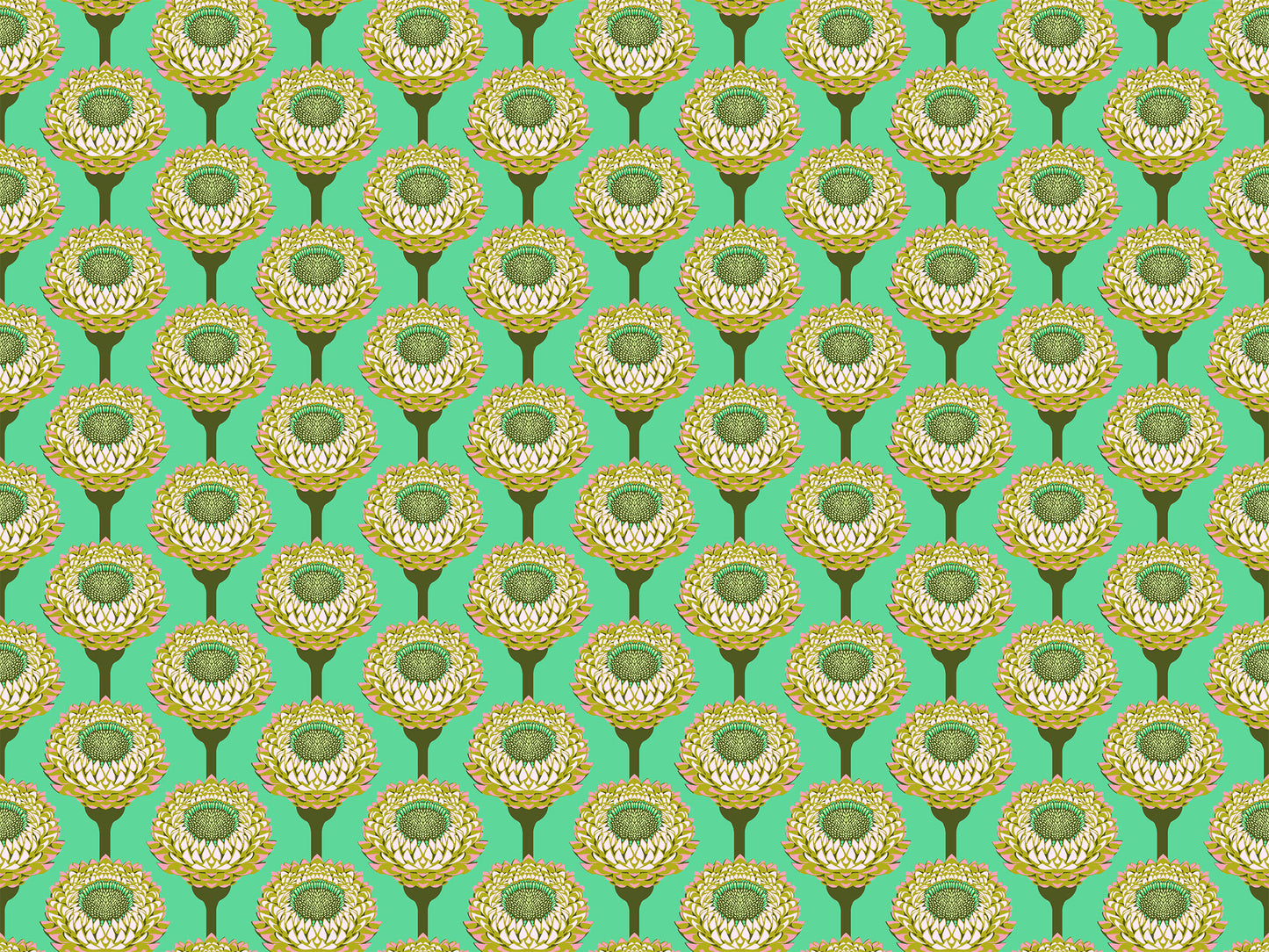 Strawflower (Aqua) by Anna Maria