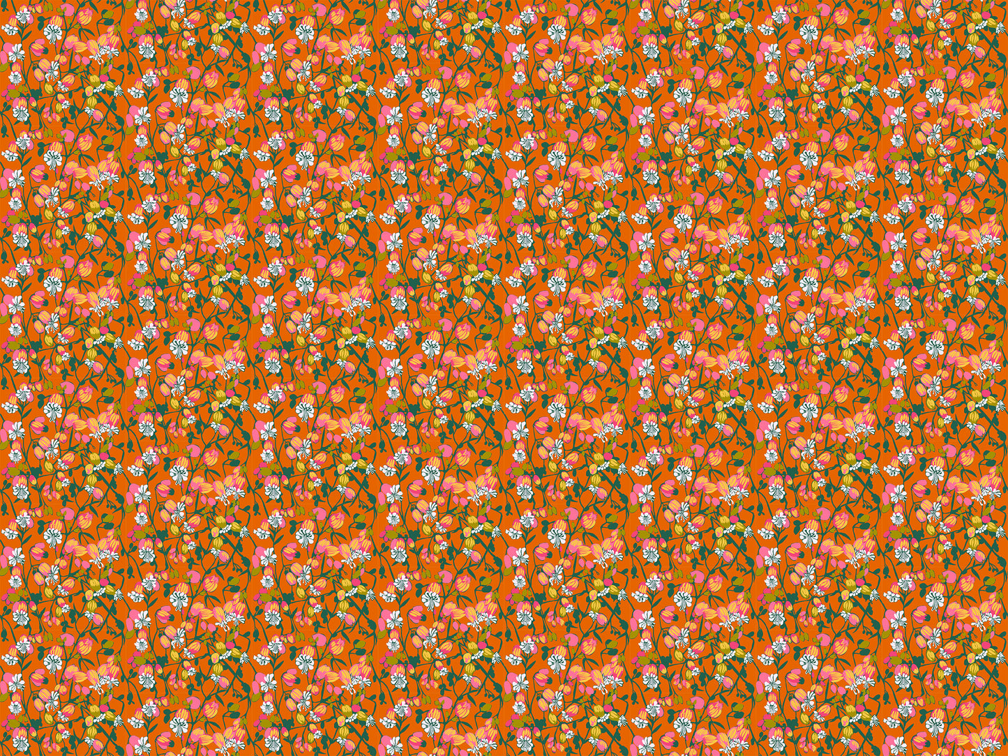 Jump Start Fat Quarter bundle  (Anna Maria Textiles)