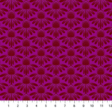 Coneflower (Magenta) by Anna Maria