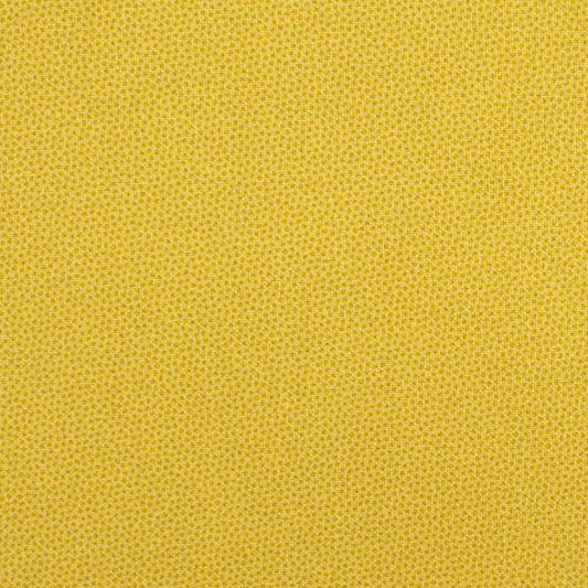 Pindot (Daffodil) - HALF METRE