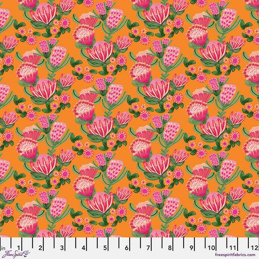 Cascading Proteas (Tangerine) by Kirstin Kratz