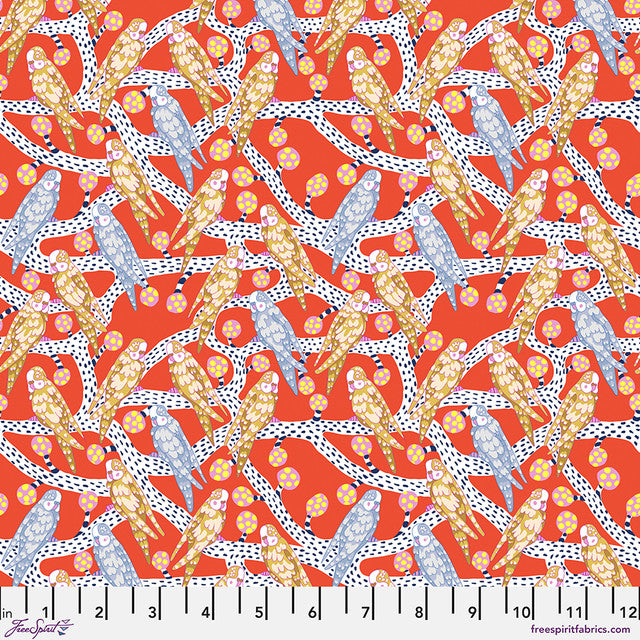 Budgie Melody (Vermillion) by Penny Jeffries