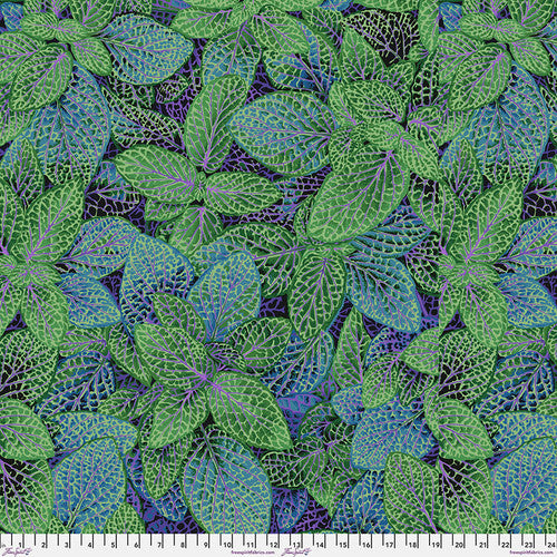 Fittonia (Green) by Kaffe Collective