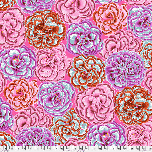 Picotee Carnations (pink) by Kaffe Collective