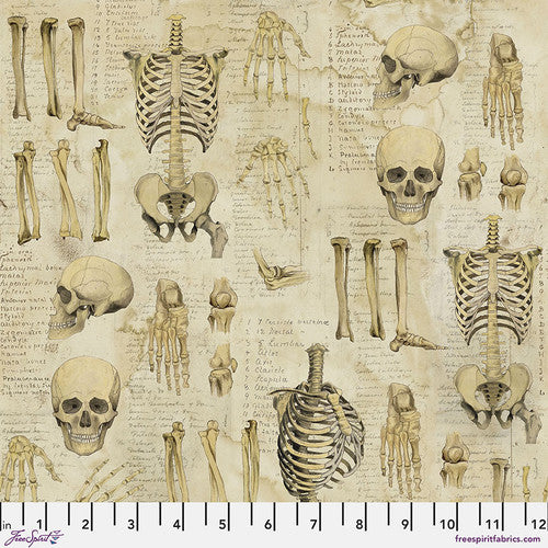 Anatomy (neutral) by Tim Holtz