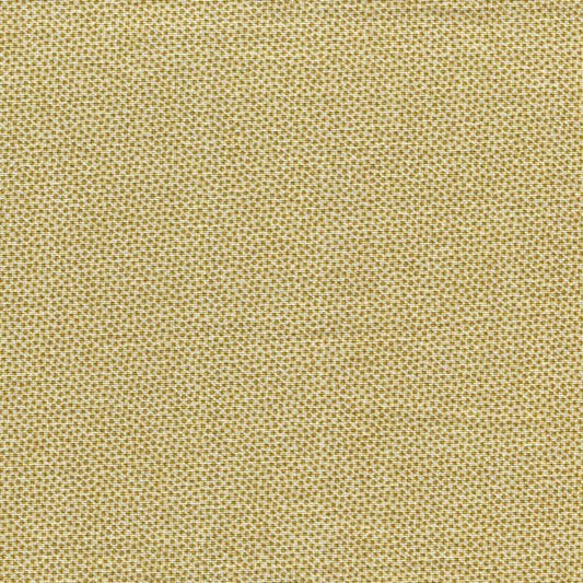 Pindot (Honey) - HALF METRE